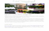 Ogrodowe trendy 2018 w zasięgu ręki! - myplantgarden.com · –Myplant & Garden 2018 w Mediolanie – dotarły już i do nas. Rośliny, produkty i rozwiązania, ale też kolory,
