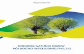 ~1~ · 2016-05-11 · ściami na temat głównych rodzajów drzew występujących w regionie północno-wschod-niej Polski. To specyficzny obszar naszego kraju, charakteryzujący