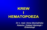 KREW I HEMATOPOEZA - pum.edu.pl · Funkcje krwi: 1. Transport tlenu i dwutlenku węgla 2. Transport substancji odżywczych 3. Transport produktów przemiany materii 4. Regulacja temperatury