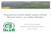 Brassica napus L. var. oleifera Metzger.)pw.ihar.edu.pl/assets/Uploads/PW-5.3-2016-SEMINARIUM-11.03.2016.pdf · transgeniczną odporną na glifosat — Quest (Monsanto), w 1995r.