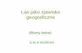 Las jako zjawisko geograficzne - up.poznan.pl Modrzyński/10 Las... · Niektóre współczynniki klimatyczne określające występowanie formacji leśnej • Tetraterma Mayra: las
