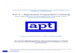 A.P.T – Apprentice Preparation Trainingaptproject.eu/wp-content/uploads/2017/11/APT-IO12-Summary-PL.pdf · • Niektóre z inicjatyw wykorzystują również testy psychometryczne