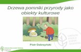 Drzewa pomniki przyrody jako obiekty kulturowe - EKOportal · atlas drzew z opisami i zdjęciami najpopularniejszych gatunków drzew rosnących w Polsce. w w w . k l u b g a j a .