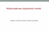 Kłębuszkowe zapalenia nerek - nefrologia-litewska.wum.edu.pl · Pierwotne glomerulopatie • zmiana minimalna (minimal change, nerczyca lipoidowa, submikroskopowe kzn) • mezangialne