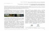 Trenażer strzelań w środowisku wirtualnym – aspekty ...pe.org.pl/articles/2017/10/10.pdf · Ze względu na to, że środowisko wirtualne korzysta z tzw. silnika fizyki i operuje