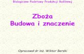 Biologiczne Podstawy Produkcji Roślinnej Budowa i rodzaje ...matrix.ur.krakow.pl/~wberski/BPPR/06_Zbo%bfa.pdf · E. Ziółeki in. Szczegółowauprawa roślin,skrypt AR ... albo wiecha