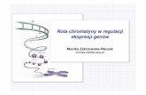 Rola chromatyny w regulacji ekspresji genów - igib.uw.edu.pl · Rola chromatyny w regulacji ekspresji genów ... Transkrypcja wyciszanie ... metylacjęH3K9 i promuje acetylacjęlizyn