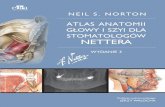 ATLAS ANATOMII NEIL S. NORTON GŁOWY I SZYI DLA ... · Atlas anatomii człowieka Nettera został najpierw opublikowany w 1989 roku, przedstawiał anatomiczne ilustracje z jego kolekcji.