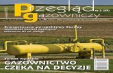 Temat wydania GazOWnicTWO czEka na dEcyzjE - igg.pl · Systemy transmisji danych: moduły transmisji CMB-03 oraz kompletne szafki telemetrii konwertery transmisji i niezbędne akcesoria