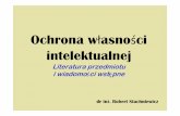 Ochrona własności intelektualnej - materialy.wb.pb.edu.plmaterialy.wb.pb.edu.pl/robertstachniewicz/files/2013/01/OWI-cz-1... · Praw Własności Intelektualnej (Agreement on Trade-Related
