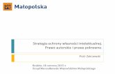 Strategia ochrony własności intelektualnej. Prawo ...spcleantech.pl/wp-content/uploads/2015/06/Ochrona-własności... · Ochrona własności intelektualnej. Najważniejsze korzyści