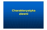 Charakterystyka zlewni - materialy.wb.pb.edu.plmaterialy.wb.pb.edu.pl/mariawalery/files/2014/11/Wykład-3... · Gdy zlewnia obejmuje cały system rzeczny, tj. system rzeki głównej