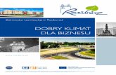 DOBRY KLIMAT DLA BIZNESU - raciborz.com.pl - Raciborski ... · du Miasta Racibórz. Pozytywny klimat inwestycyjny tworzą także instytucje otoczenia biznesu. Należą do nich: •