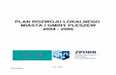 PLAN ROZWOJU LOKALNEGO MIASTA I GMINY PLESZEWbip.pleszew.pl/pleszewm/zasoby/files/archiwum/bip/rada-miejska/iv... · Mieszkańcy Miasta i Gminy Pleszew stanowią znaczną, ... 3.1.