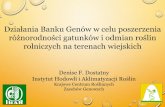 Działania Banku Genów w celu poszerzenia różnorodności ...pw.ihar.edu.pl/assets/Uploads/Rosliny-rolnicze-bank-genow... · Wykorzystane są jako broń biologiczna