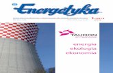energia ekologia ekonomia - elektroenergetyka.plelektroenergetyka.pl/upload/file/2013/1/styczen_2013.pdf · nej oraz zakończenie systemu wsparcia dla KDT-ów musimy się liczyć