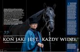 a „jeździec powinien w publice jaśnieć” - konizmy.pl · że w XVI i XVII wieku Polska była potęgą w hodowli koni, którymi zachwycały się ... ówczesny ŚWIAT KONI i odniesienie