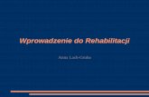 Wprowadzenie do Rehabilitacjirehabilitacja.wum.edu.pl/sites/rehabilitacja.wum.edu.pl/files/... · ICF Międzynarodowa Klasyfikacja Funkcjonalności ... charakterystycznych stanu zdrowia