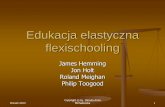 Edukacja elastyczna flexischooling - repozytorium.amu.edu.pl · Pedagogika skoncentrowana na uczniu, proces nauczania odpowiada potrzebom dzieci i młodzieży Partnerstwo w nauczaniu