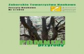ZESZYT BOCIANY STRONY WEWNETRZNE - ztn.com.pl · 4 • Pomniki przyrody w Gminie Brusy • Wstęp Symbolika drzewa Drzewo to jeden z najbogatszych w znaczenie i jednocześnie jeden