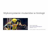 Wykorzystanie mutantów w biologiimarcin_filipecki.users.sggw.pl/PDFY/Inzynieria/prezentacja_mutanty... · Mutacje indukowane- czynniki mutagenne Fizyczne Promieniowanie jonizujące