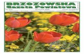 BRZOZOWSKA Gazeta Powiatowa · ISSN 1642-8420 Nr 4/61 Kwiecień 2008 numer bezpłatny BRZOZOWSKA Gazeta PowiatowaGazeta Powiatowa