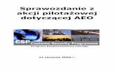 Sprawozdanie z akcji pilotażowej dotyczącej AEOspedycje.pl/images/artykuly/2007/AEO_pilot_report_pl.pdf · Sprawozdanie z akcji pilota ... informatycznych oraz sieci komputerowych,