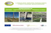 broszura lgd paulownia 2016 - lgdbielsk.pl · P Bo Dsk, 22 czerwca 2016 r. ... e-mail: lgdpm@wp.pl  ... dla ekologicznych projektów inwestycyjnych i do sprzeda |y