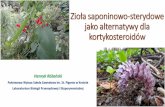 Zioła saponinowo-sterydowe jako alternatywy dla ...luskiewnik.strefa.pl/plants_sapo_sterids.pdf · Zioła saponinowo-sterydowe jako alternatywy dla kortykosteroidów Henryk Różański