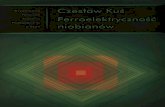 Wydawnictwo Czesław Kuś Naukowe Ferroelektrycznośćrep.up.krakow.pl/xmlui/bitstream/handle/11716/568/20140210_mu_g13... · Takie kryształy nazywa się ferroelektrykami. 1.6. Rodzaje