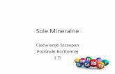 Sole Mineralne - zs3wiskitki.plzs3wiskitki.pl/images/doc/prace_uczniow/sole.pdf · • nieorganiczne związki chemiczne z grupy soli. ... siarka znalazła zastosowanie m.in. w kosmetyce.