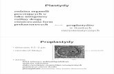 Chloroplasty perokysomy 2011 cz-b4.asset.soup.io/asset/4556/1124_3649.pdf · oksydazy flawinowe Peroksysomy w komórkach zwierz ęcych -funkcje utleniające utlenianie róŜnych substratów