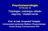 Neurokognitywistyka WYKŁAD 5 Nowe metody badawcze III ... · Emocje (uczucia) przyjemne • W humanistyce, w tym w psychologii, popularny jest dzielenie uczuć (emocji) na podstawowe
