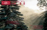 Ânie˝nych, spokojnych i rodzinnych Âwiàt Bo˝ego Narodzenia …web.sgh.waw.pl/~thorrel/gazeta/pdf/SGH-2008-12.pdf · 26 listopada – WIZYTA ALA GOLINA: „A LOOK AT 50 YEARS