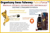Organiczny kwas fulwowy FulvicForceTM · Fitochemikalia to aktywne składniki w roślinach, które dają wiele korzyści dla zdrowia. Kwas fulwowy wiąże w swej cząsteczce różnorodne