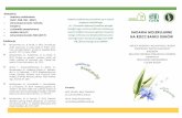 sekwencjonowanie NGS (2017) żonego rolnictwa oraz ...pw.ihar.edu.pl/assets/Uploads/BADANIA-MOLEKULARNE-NA-RZECZ-BANKU...2015. Studies on genetic variation within old Polish cultivars