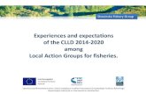 Experiences and expectations of the CLLD 2014-2020 among … · Unia Europejska Europejski Fundusz Rybacki Operacja współfinansowana przez Unię Europejską ze środków finansowych