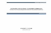 OCENA RYZYKA CHEMICZNEGO - ciop.pl · 2 Opracowano i wydano w ramach programu wieloletniego „Poprawa bezpie-czeństwa i warunków pracy” etap I (2008 – 2010) w zakresie zadań