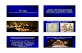 Wstęp - uci.agh.edu.pl · Lekcja anatomii dr. Deymana ... do obrazów medycznych ... książka poświęcona metodom przetwarzania i rozpoznawania obrazów