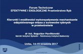 Forum Techniczne EFEKTYWNE I EKOLOGICZNE Przetwórstwo …forum-eiepr.pl/wp-content/uploads/2017/09/Pawlikowski_Bogusław... · 02/01/2002 · Forum Techniczne EFEKTYWNE I EKOLOGICZNE