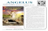 ANGELUS - parafiacieklin.plparafiacieklin.pl/wp-content/uploads/2018/04/114-gazetka.pdf · Każdy chrześcijanin wierzy w zmartwychwstanie Jezusa, to znaczy przyjmuje prawdę, że