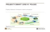 PROJEKTY SMART GRID W POLSCE - Leonardo-Energy.plleonardo-energy.pl/wp-content/uploads/2016/02/EIM03001-1-Smart... · (poprawa efektywności energetycznej o 20%, zwiększenie udziału