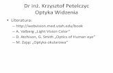 Dr inż. Krzysztof Petelczyc Optyka Widzeniakrzys137/Optyka_widzenia/Wyklad 1.pdf · Plan wykładu 1. Wstęp – Filozofia widzenia, złudzenia optyczne 2. Fotometria i kolorymetria