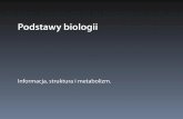Podstawy biologii - igib.uw.edu.pl · •Zbiór obserwowalnych cech organizmu ... egzemplarz pracy Mendla. Mendlowska krzyżówka jednogenowa Roślina wysoka produkuje gamety T Roślina