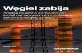 Analiza kosztów zdrowotnych emisji zanieczyszczeń z ... · Przedsłowie Węgiel zabija Analiza kosztów zdrowotnych emisji zanieczyszczeń z polskiego sektora energetycznego 3 Negatywny