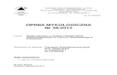 OPINIA MYKOLOGICZNA Nr 38/2013 - bip.gliwice.eubip.gliwice.eu/pub/zam_pub/5734/z84138.pdf · Janusz Kotwica – Konstrukcje drewniane w budownictwie tradycyjnym – Arkady 2008 3.