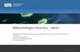 Mikrobiologia lekarska atlas - a.umed.pl · Kontrola procesów sterylizacji Wskaźnik biologiczny przeznaczony do kontroli sterylizacji parą wodna ( Sporal A) zawiera spory Geobacillus