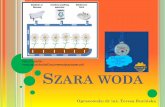 graywater.pdf SZARA WODA - trucinska.zut.edu.pltrucinska.zut.edu.pl/fileadmin/wyklady-ZB_KBI_S2_N2/Szara_woda_12... · mydła działa na rośliny jak środek nawilżający. Odprowadzając