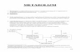 METABOLIZM - gandalf.com.pl · 7. Koenzym A12 to uniwersalny węzeł metaboliczny, a więc związek, w którym skupiają się liczne przemiany, co pozwala na płynne połączenie