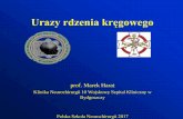 Urazy rdzenia kręgowegoptnch.pl/strefa-premium/polska-szkola-neurochirurgii... · 2017-05-15 · kończynowy ¾ wg Lovetta •Po ocenie stabilności i potwierdzeniu zrostu kostnego